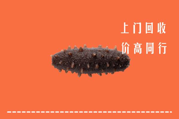 阿里高价回收海参