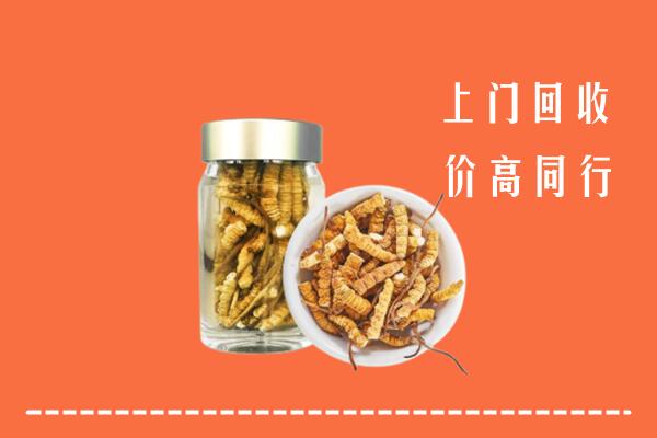 阿里回收冬虫夏草